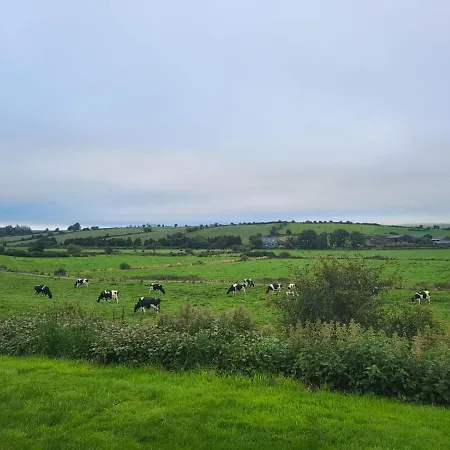 Radharc Na Greine
